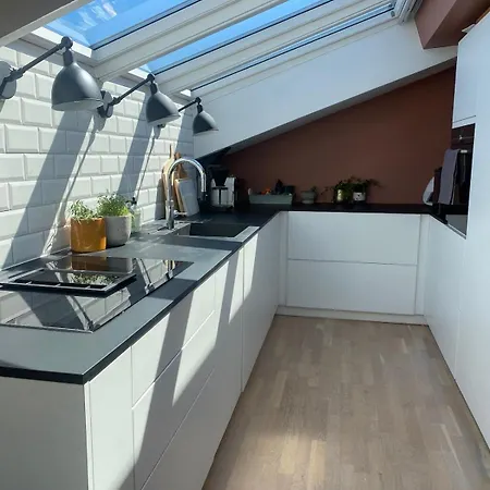 Apartment Stylish Gruenerlokka Penthouse With Rooftop Terrace Oslo