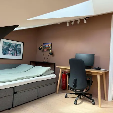 Stylish Gruenerlokka Penthouse With Rooftop Terrace Apartament Oslo