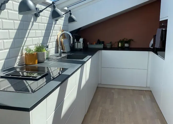 Lägenhet Stylish Gruenerlokka Penthouse With Rooftop Terrace Oslo