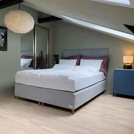 Stylish Gruenerlokka Penthouse With Rooftop Terrace Lägenhet *