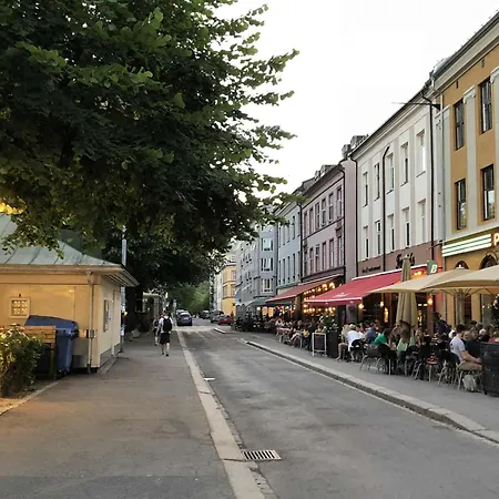 Stylish Gruenerlokka Penthouse With Rooftop Terrace Lägenhet *